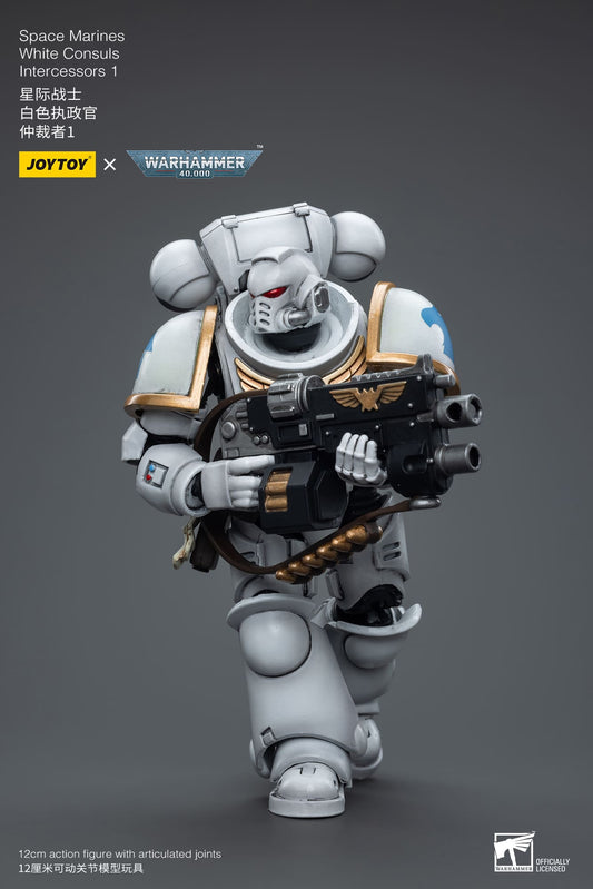JoyToy WH40K Space Marines White Consuls Intercessors 1