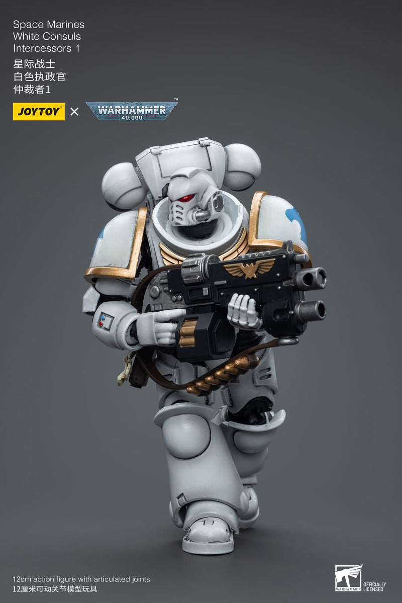 JoyToy WH40K Space Marines White Consuls Intercessors 1