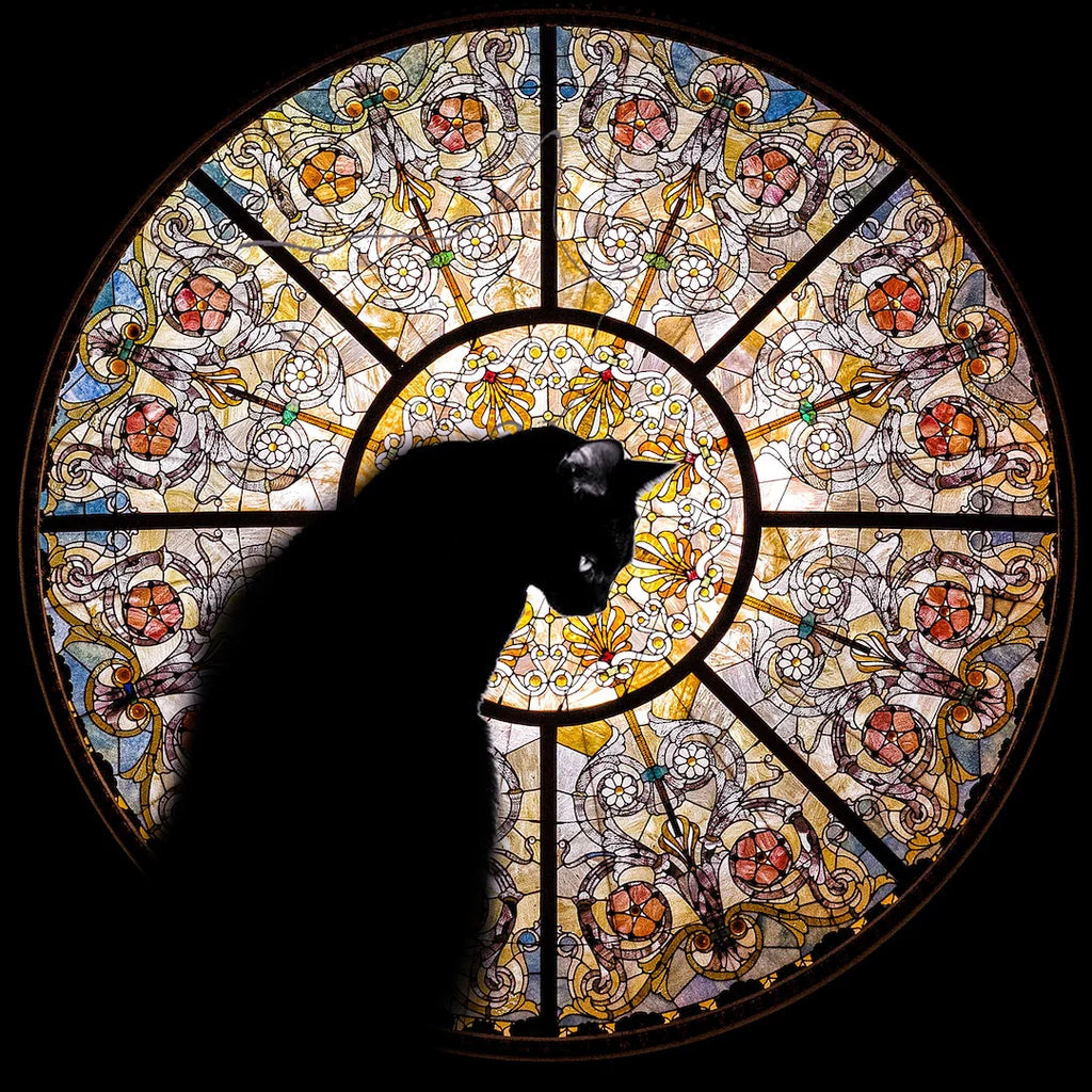 Cathedral Cat 372 Wooden Pieces