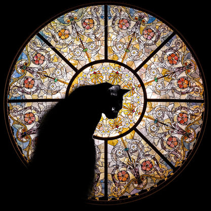 Cathedral Cat 372 Wooden Pieces