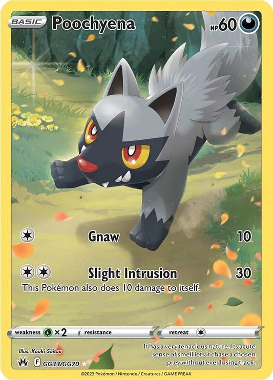 poochyena (gg33/gg70)