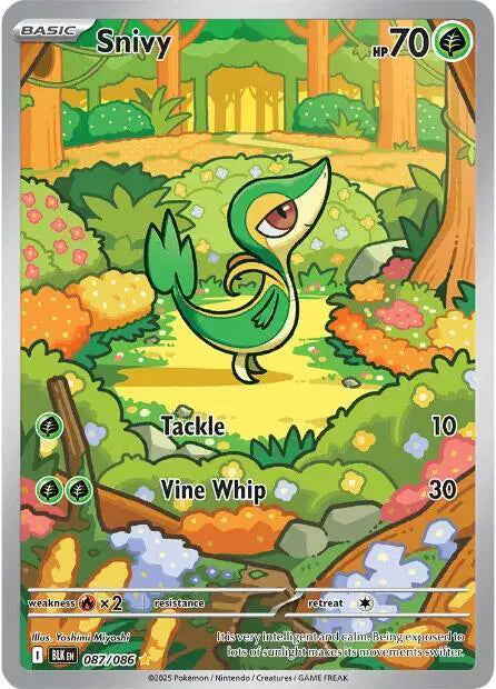 Snivy Pokemon Illustration Rare 087/086 Black Bolt