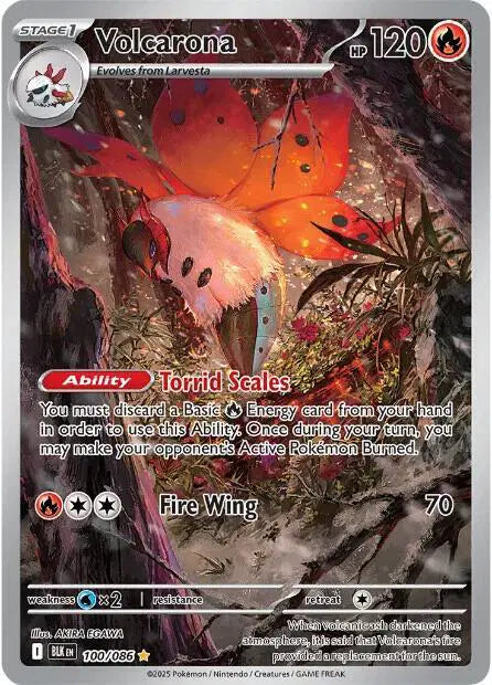 Volcarona Illustration Rare 100/086 Black Bolt