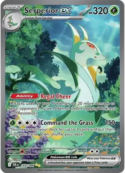 Serperior ex Special Illustration Rare 164/086 Black Bolt