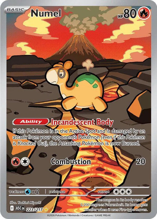 Numel Ascended Heroes Illustration Rare 223/217